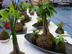 Marché de l'Artisanat et des produits du terroir 2016