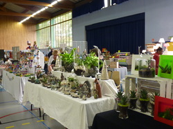 Marché de l'Artisanat et des produits du terroir 2017